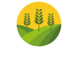 Professional Retaining Walls Brisbane